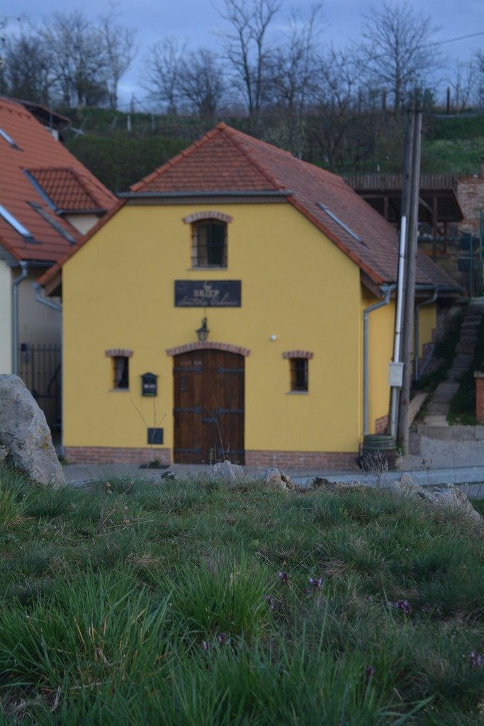 Vinarstvi ales ruzicka — foto 1