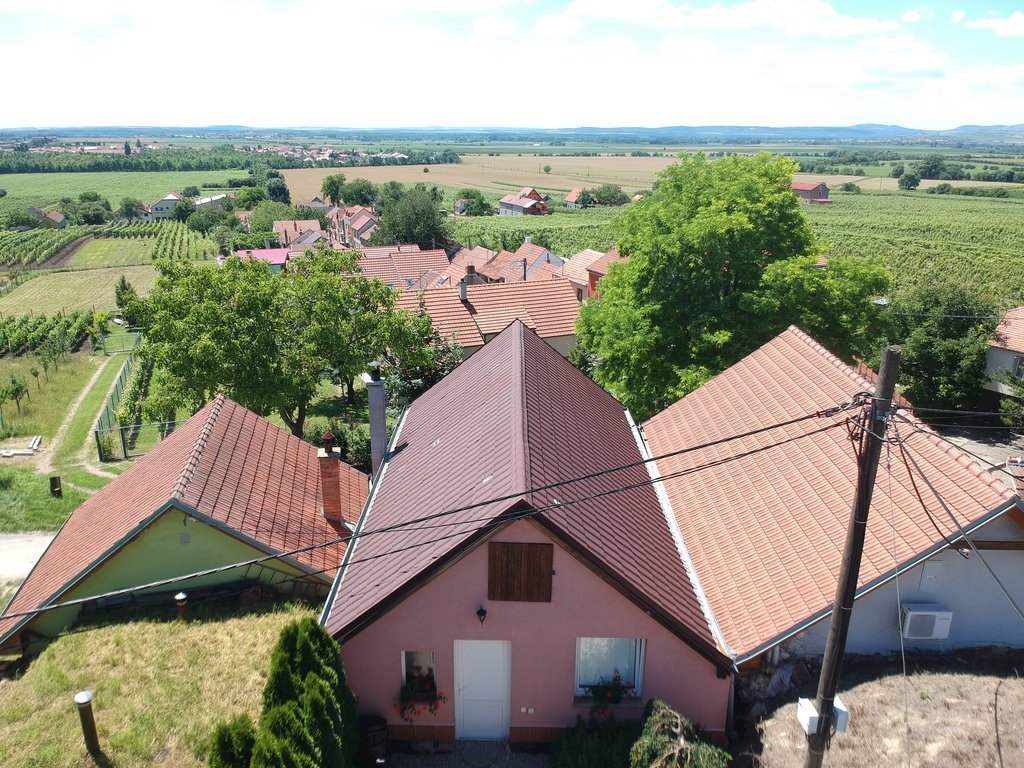 Vinny sklipek na vyhlidce — foto 7