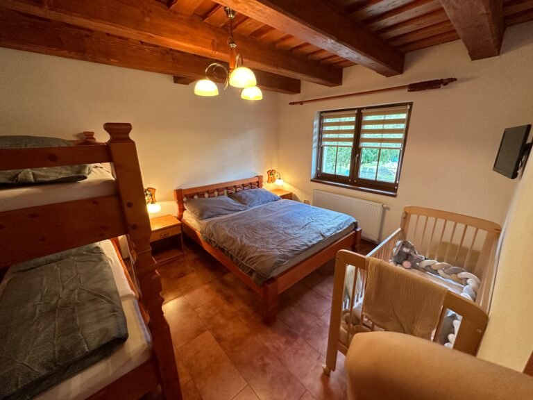 Ski cottage makov