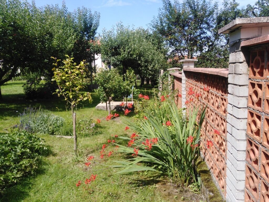 Ubytovani pacov — foto 6
