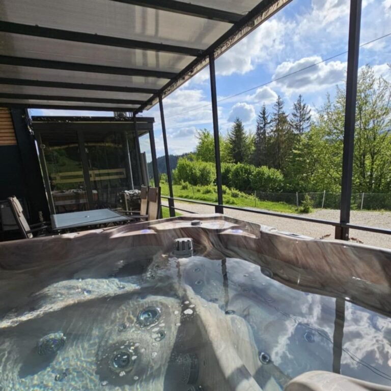 Lake forest dedinky resort