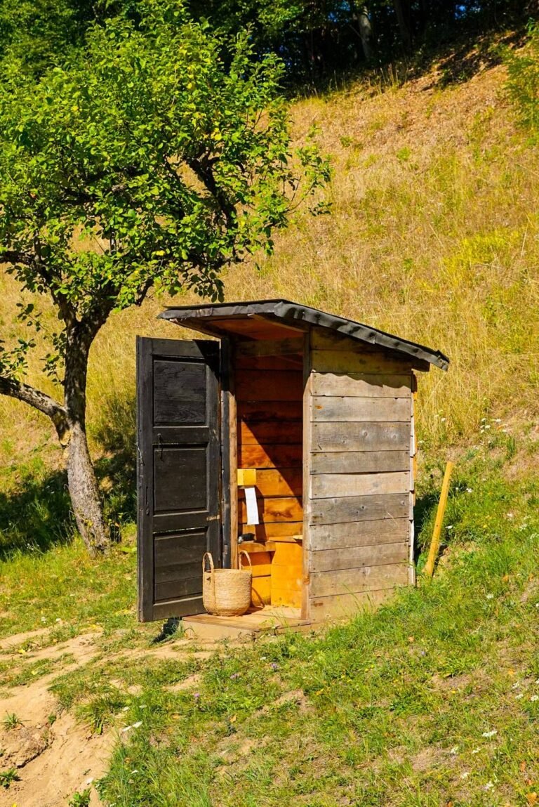Na samote u lesa
