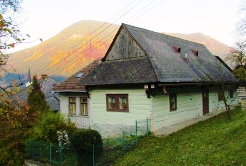 Drevenica brokuta — foto 1