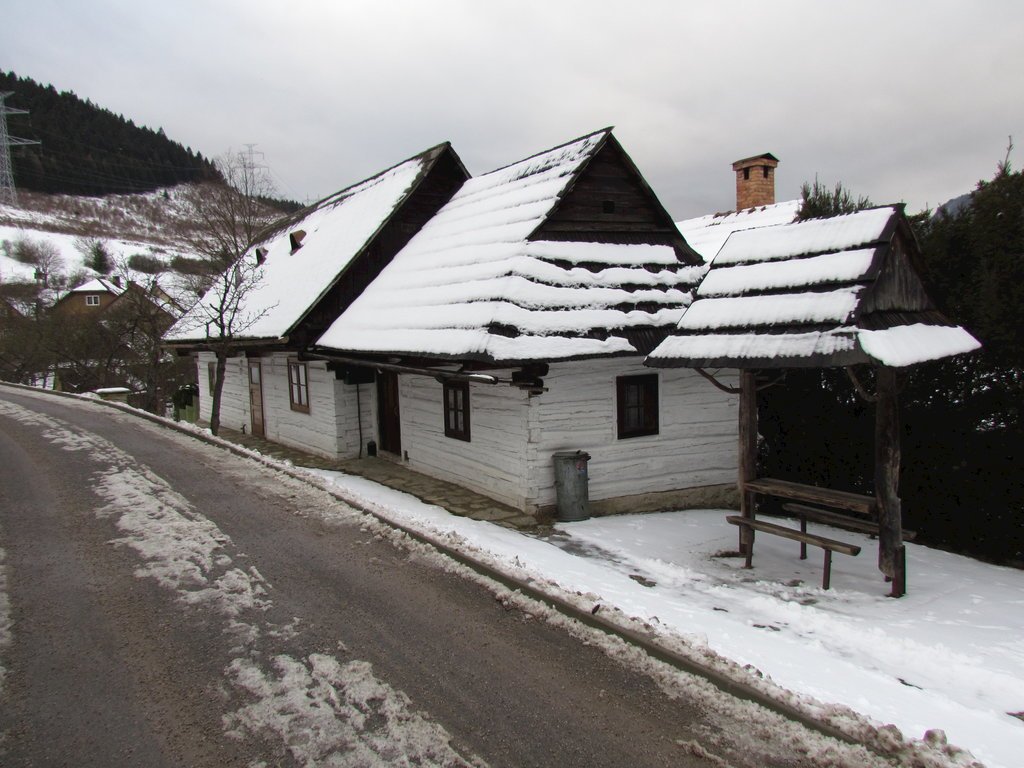 Drevenica brokuta — foto 2