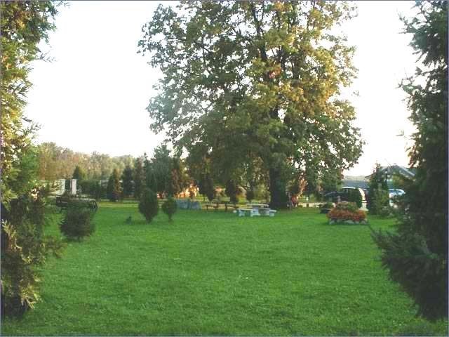Hotel kriser