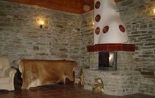 Drevenica rabcice — foto 4