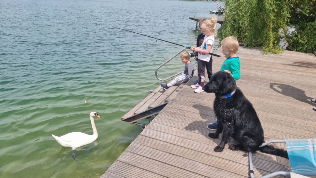 Chata topsenec lakeside home — foto 1