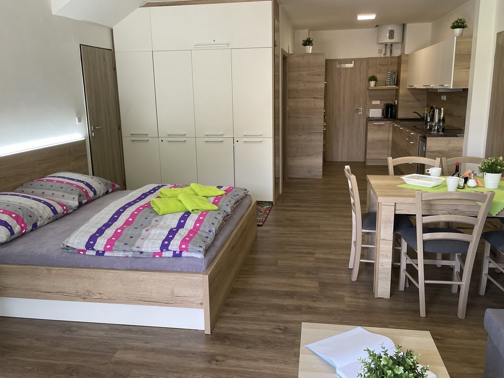 Ubytovani zlin apartmany vlckova — foto 4